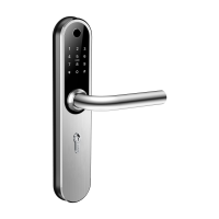 Home Plus SILVER - умный замок для апартаментов и домохозяйств