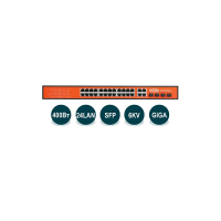 Неуправляемый гигабитный коммутатор Wi-Tek WI-PS328GF